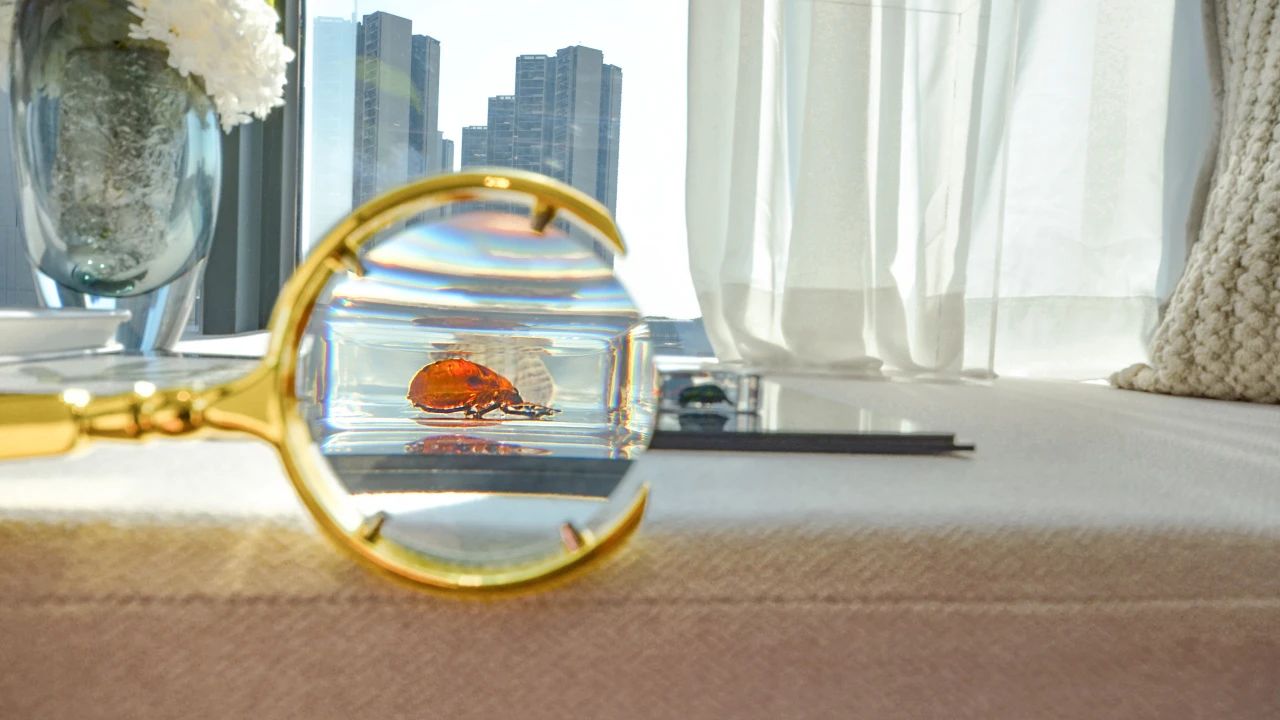 城发·佛山悦城峯境样板间丨中国佛山丨欧镱设计-64