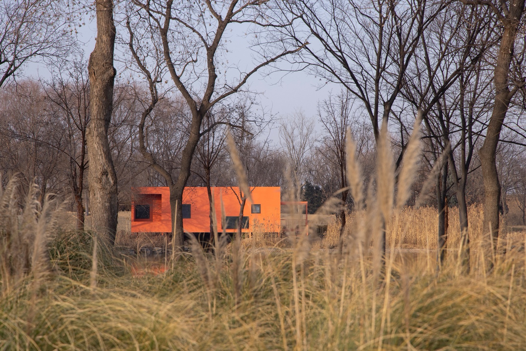 在水一方  [荒野之家 #138]丨中国郑州丨个个世界 Wiki World + 先进建筑实验室 AaL-26