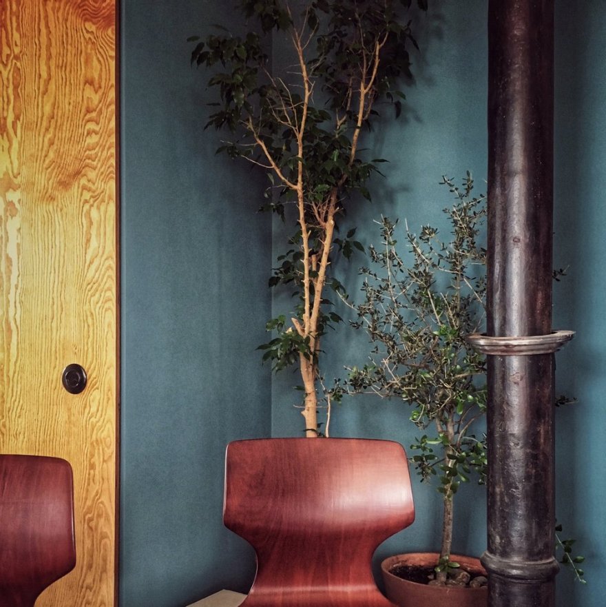 布拉格亚洲餐厅“蓝牙火焰”设计-3