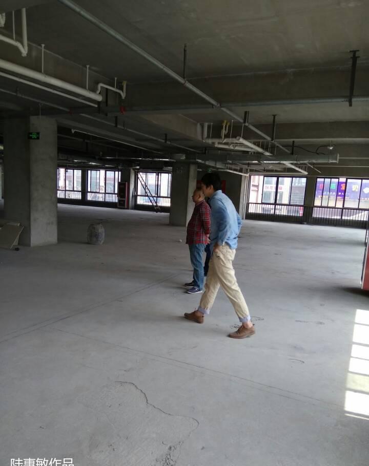 
大牧飞沙，环岛纯绿色植物1000平饭店设… -13