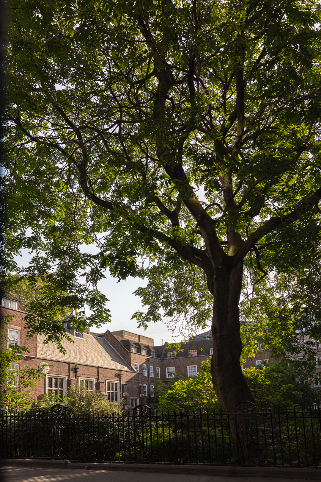 林尼设计品牌店丨丹麦哥本哈根丨Norm Architects-146