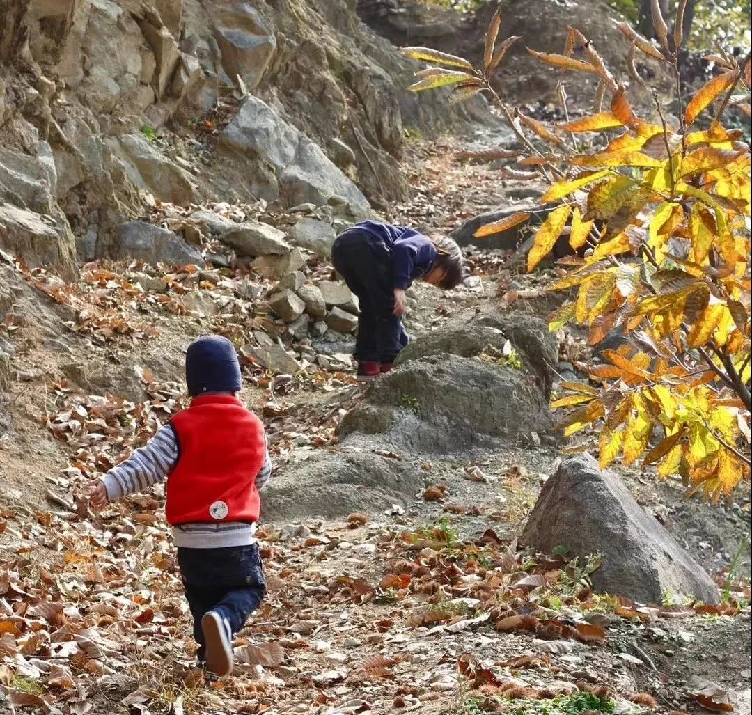 长城脚下世外桃源,德式乡村生活梦想成真-142