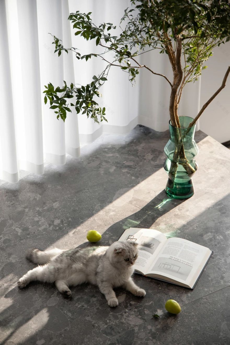 安庆·凤凰山庄丨中国安庆丨度设计机构-31