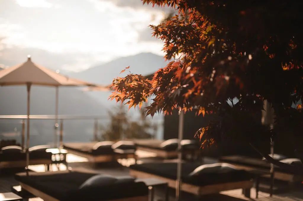 自然与设计的完美融合-45