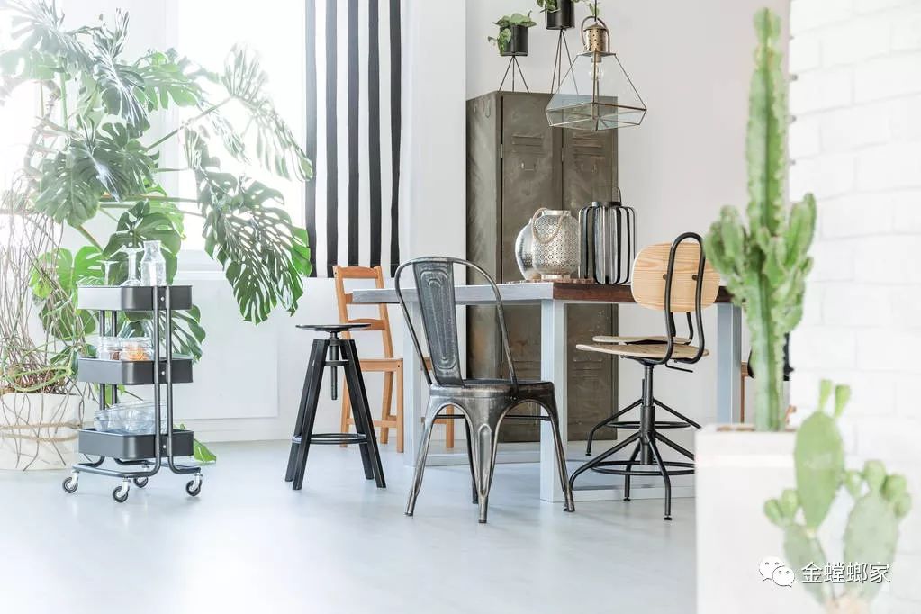 室内绿植搭配，打造春意盎然的家-47