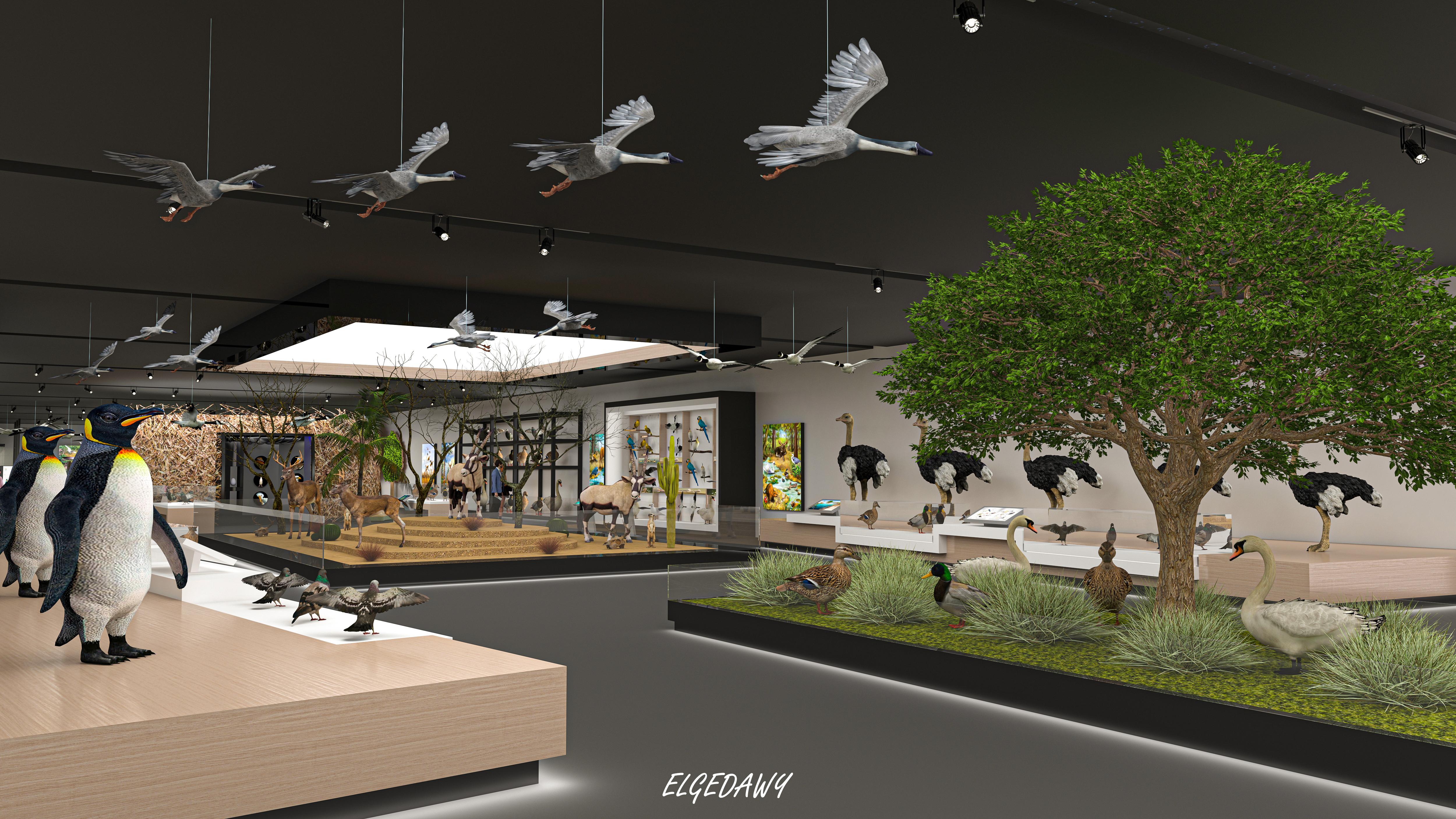 Wasit Natural Reserve Visitor Centre-16