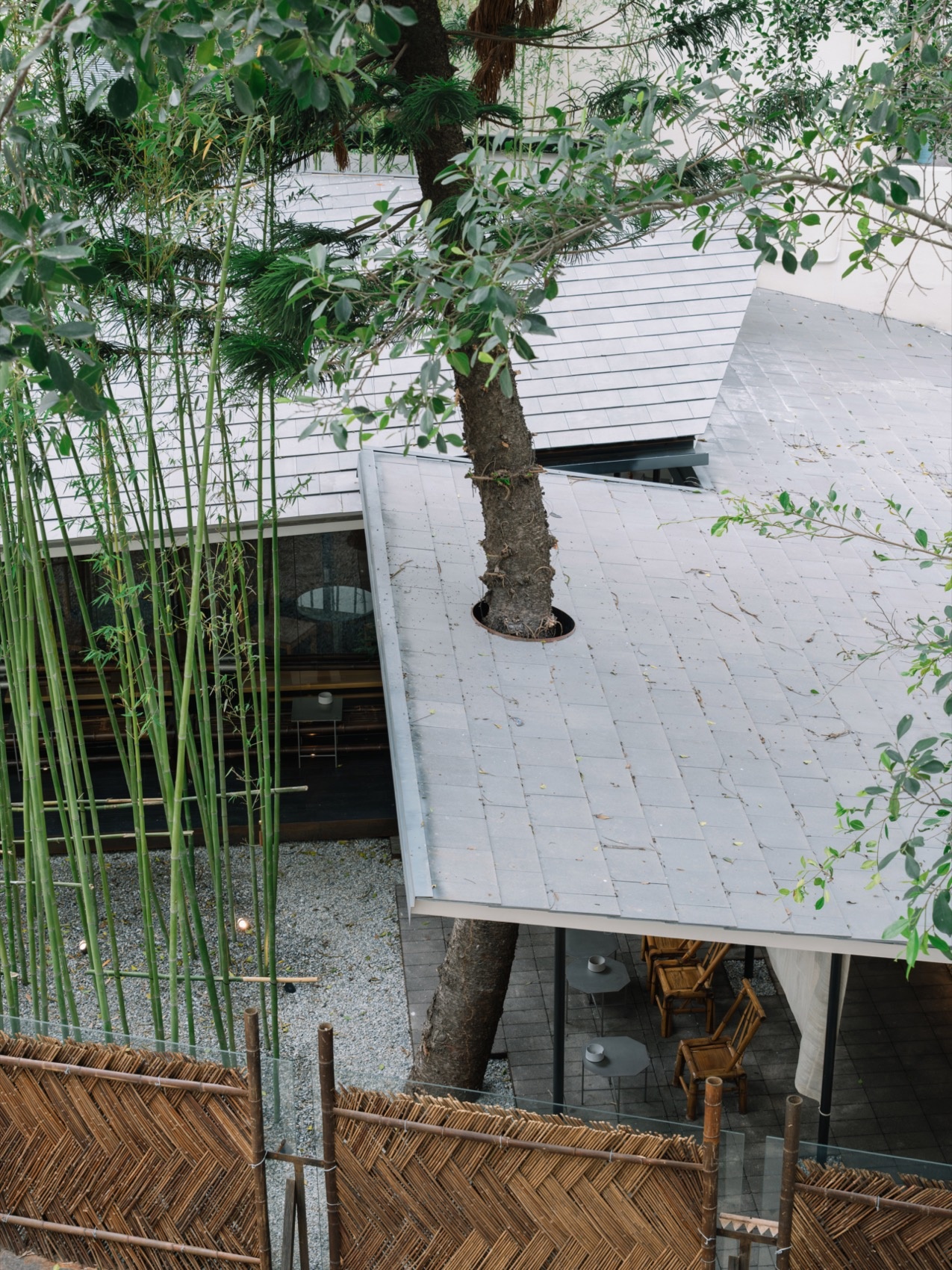 肆意茶聊丨中国海口丨觉得设计-54