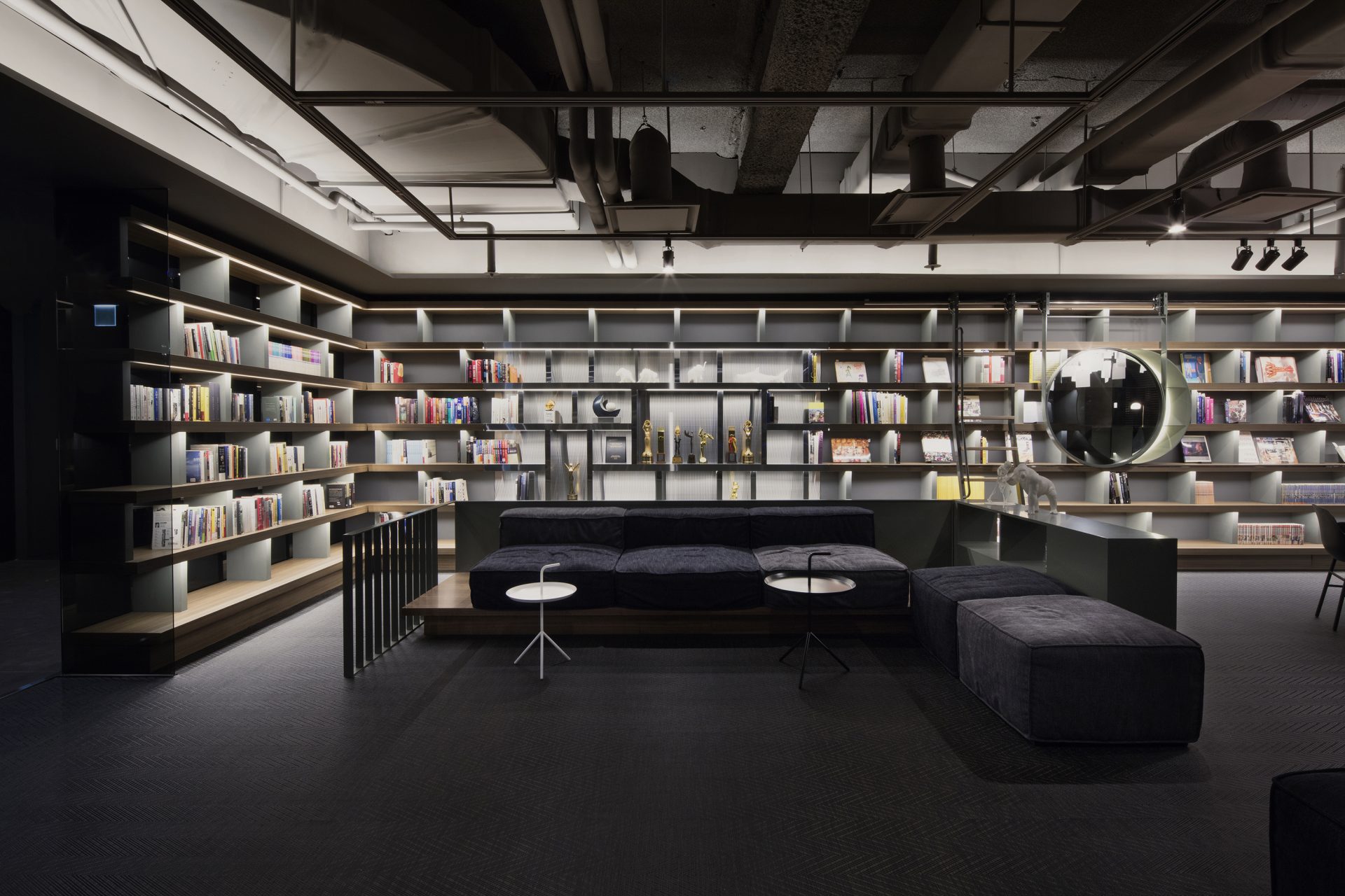 DEXTER STUDIOS WGNB-19