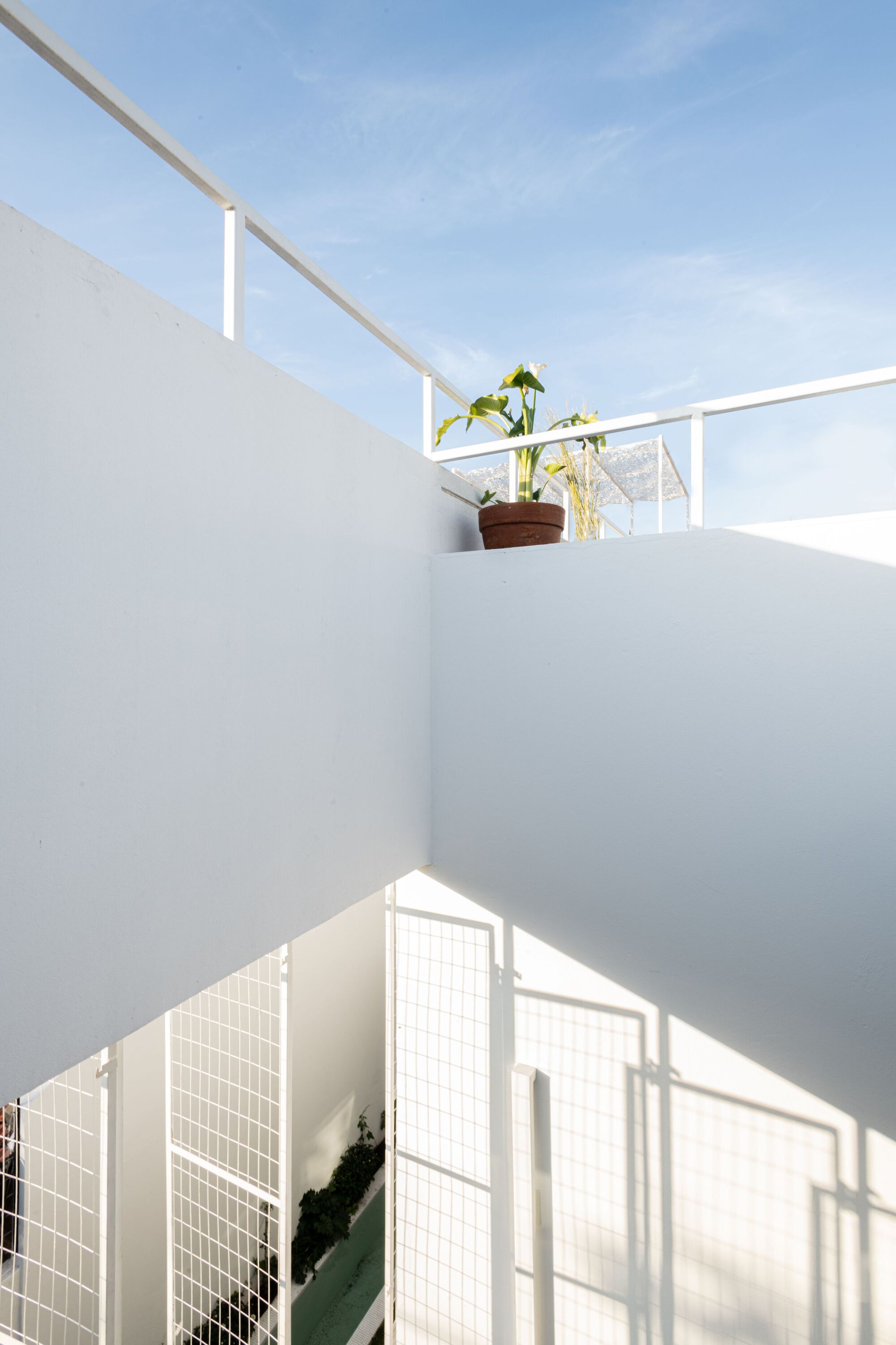 拉布兰奎达之家丨阿根廷布宜诺斯艾利斯丨MURO estudio-14