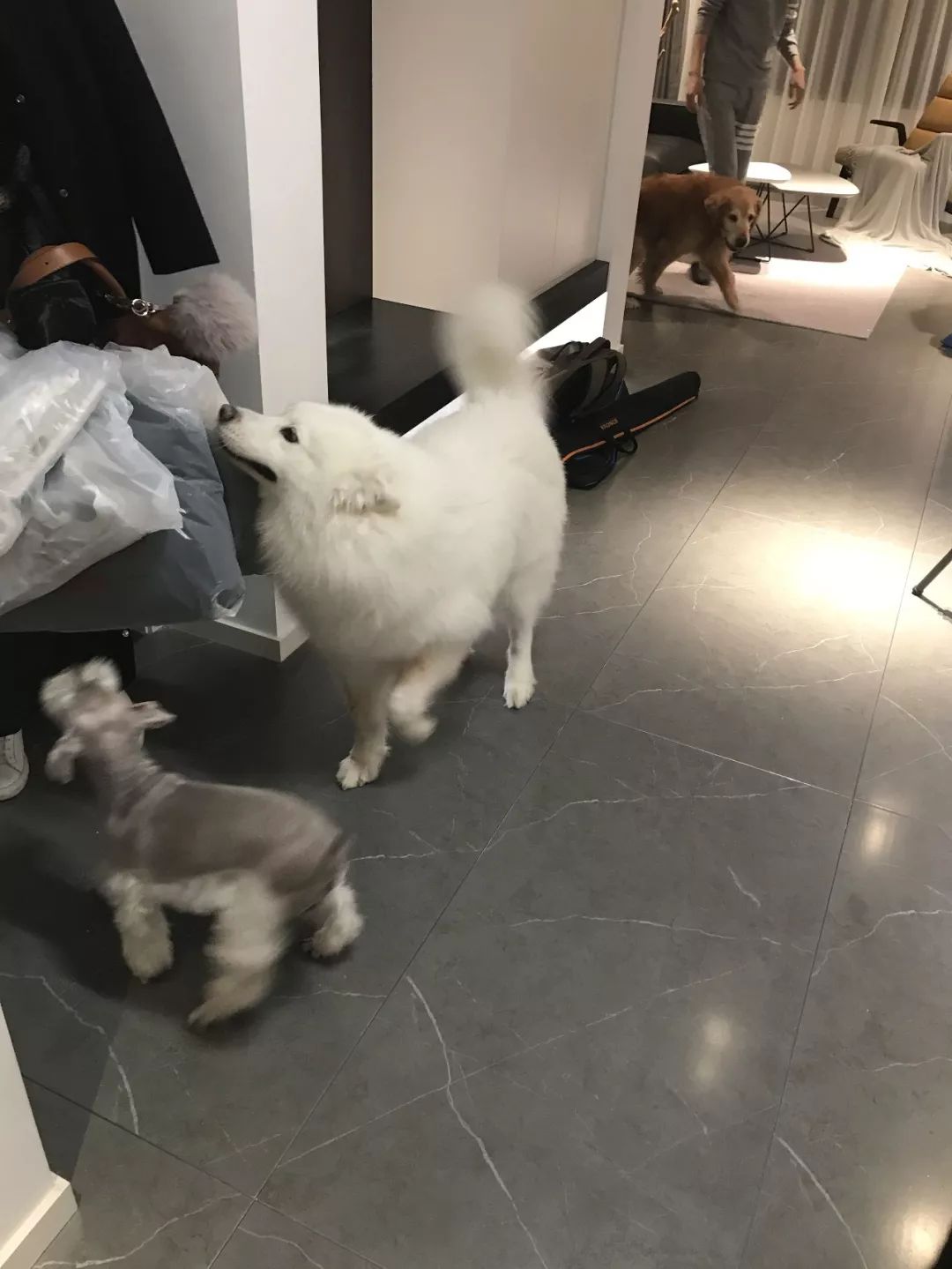 极简生活,三室变两室的美好挑战-78