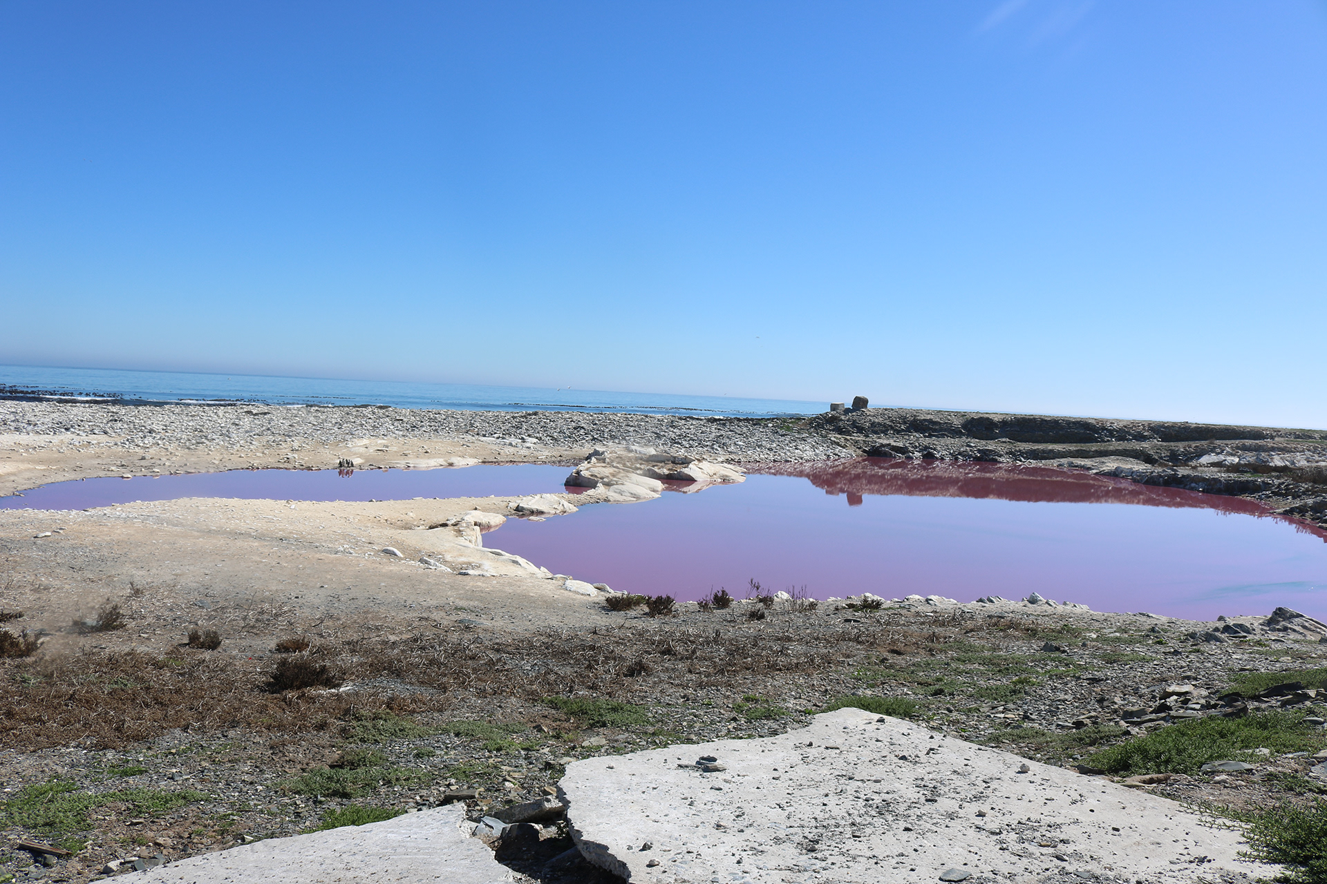 a creased history: UNFOLDING THE PAST-8