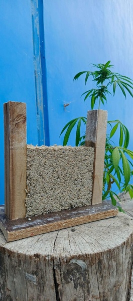 A--D -- Ananda EcoAldea: Creating Sustainable Communities-71