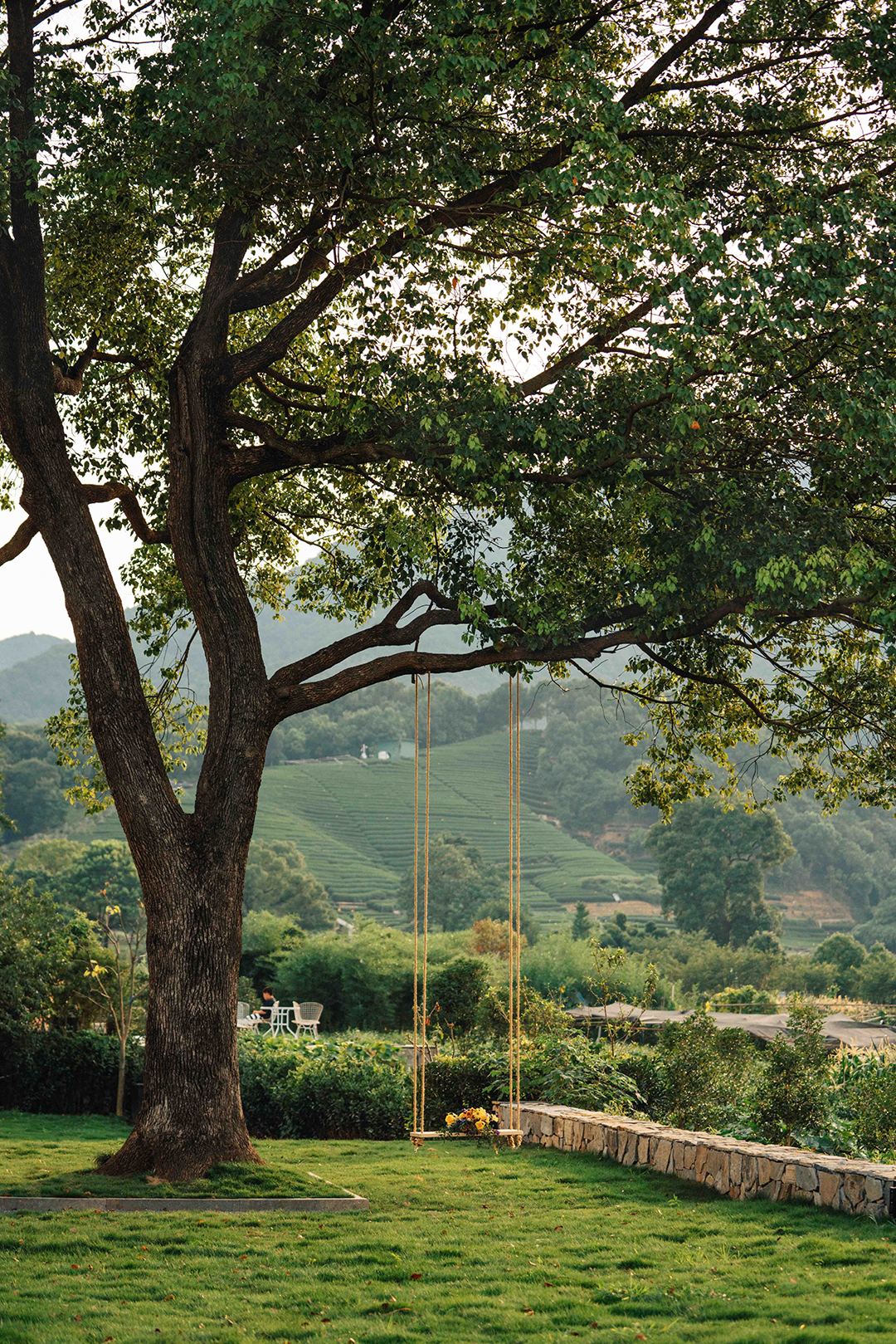 鲸与惊奇丨中国杭州丨无题设计-17
