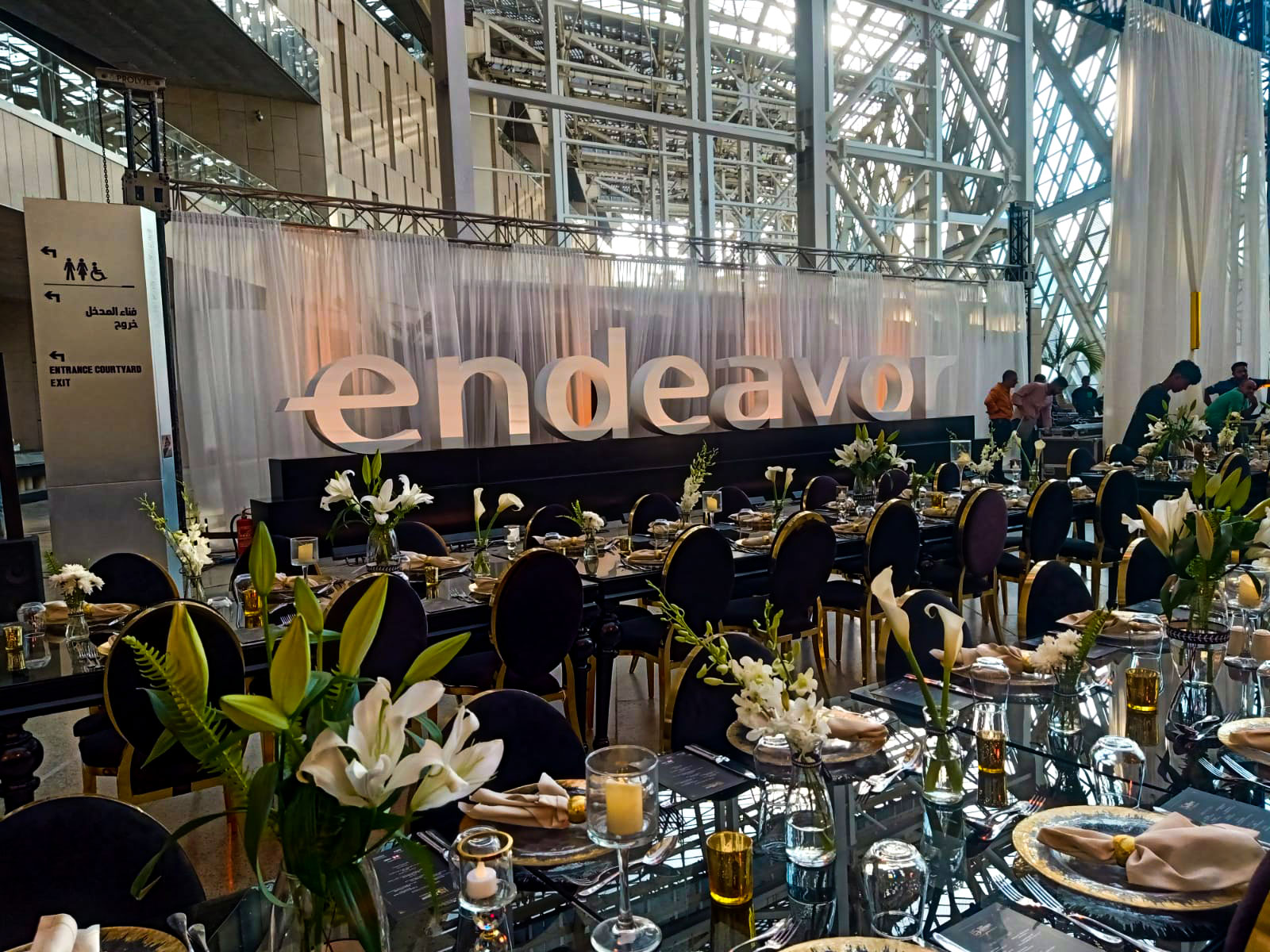 动画事件丨埃及丨ghoul_design_studio-21