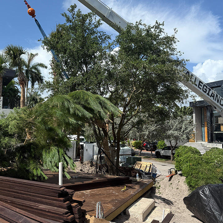 门户花园丨美国丨Cadence(景观),DKOR(室内)-31