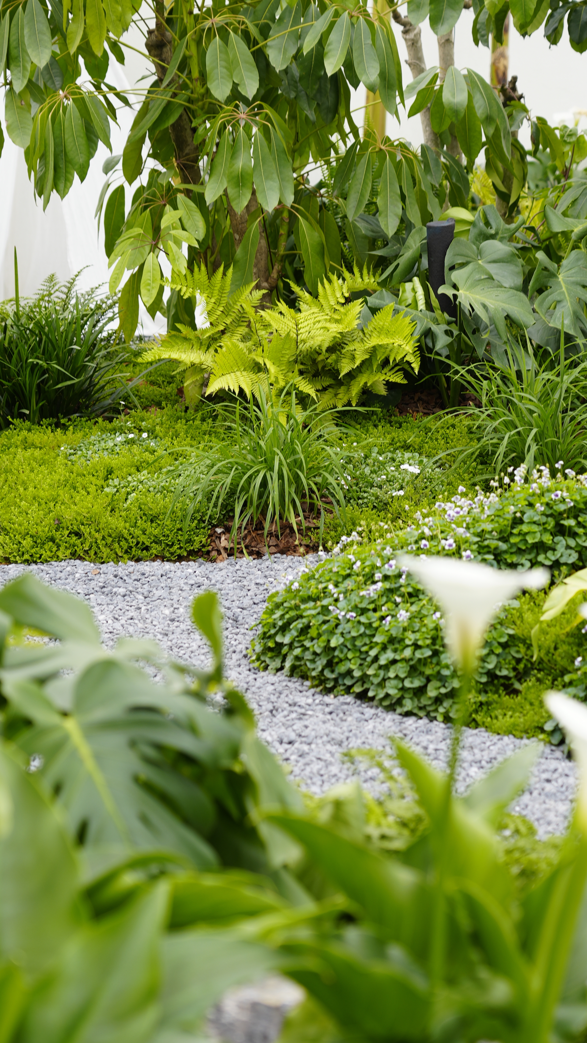 漫诗地展园丨中国成都-29