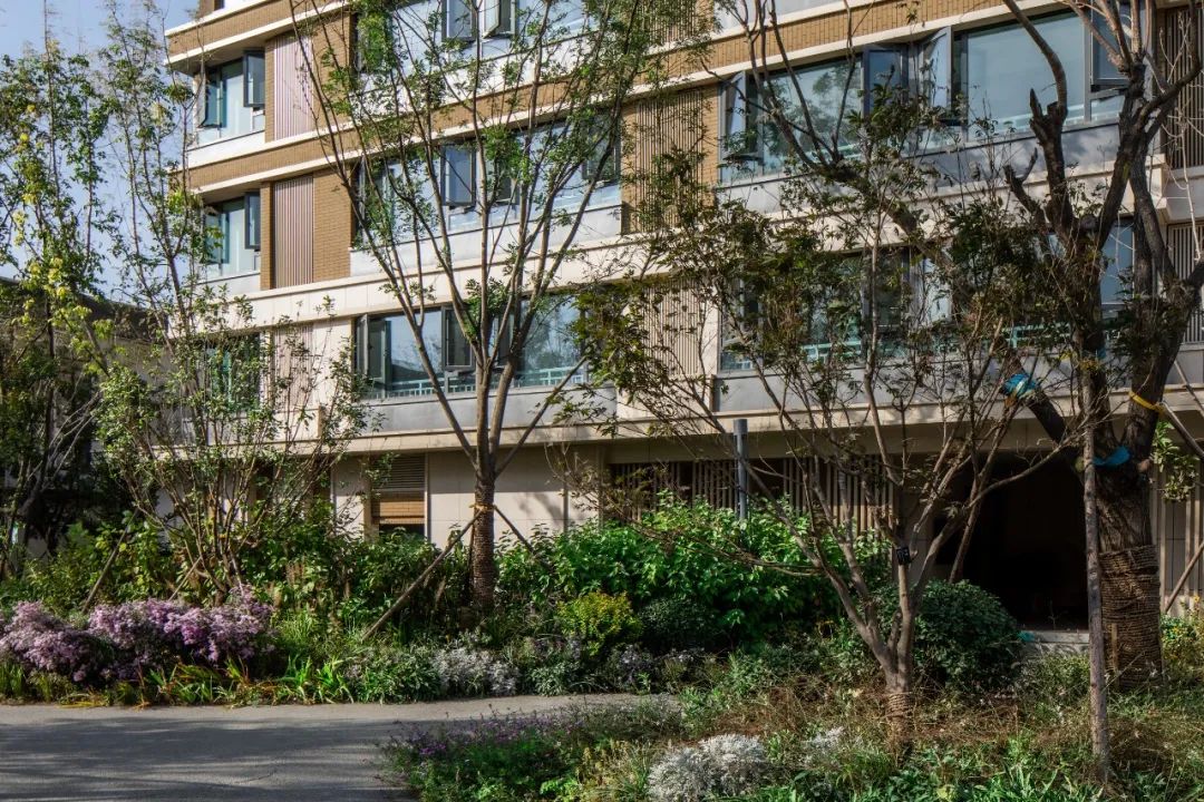 绿色智慧生活样本 | 乡愁记忆的新区实验区-57