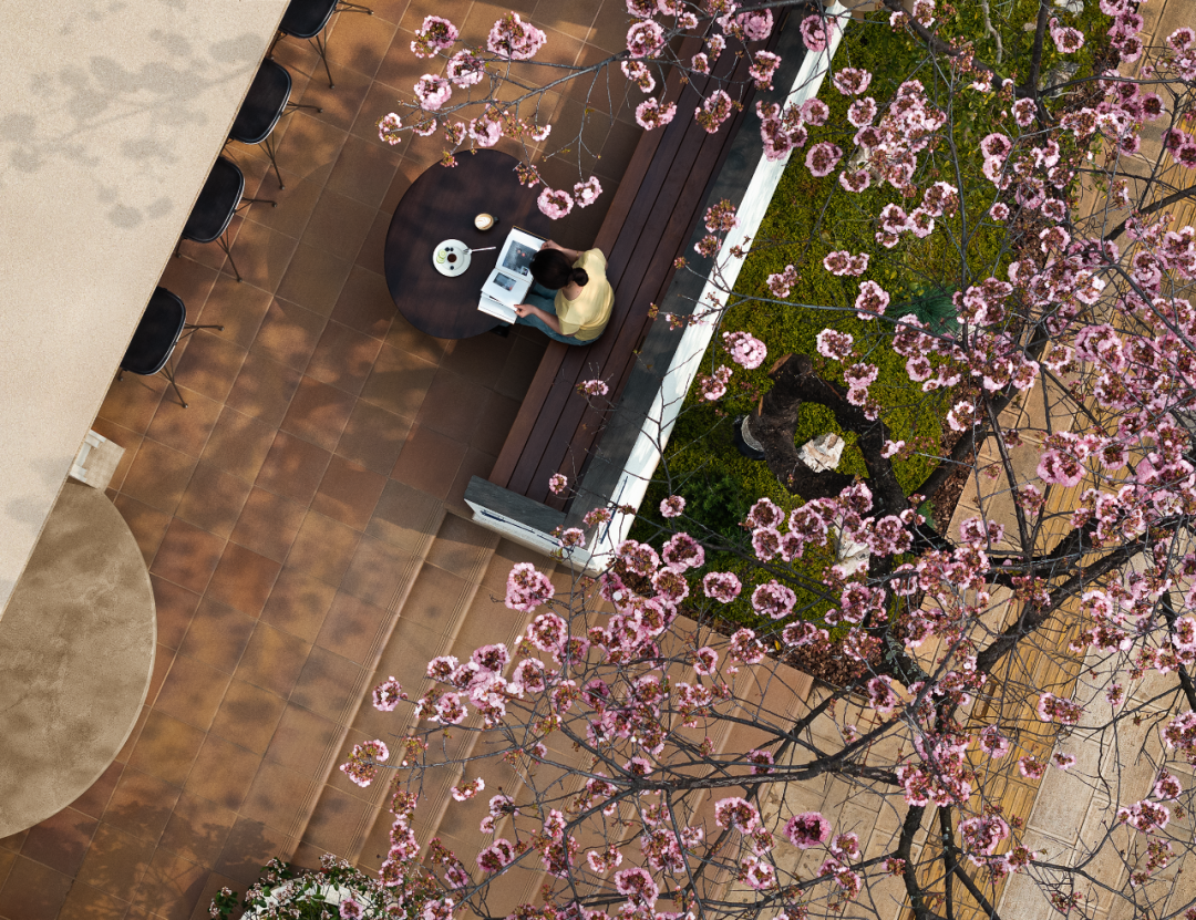 相上丨Ladésee工作室：向外生长，在公共与非公共之间-22