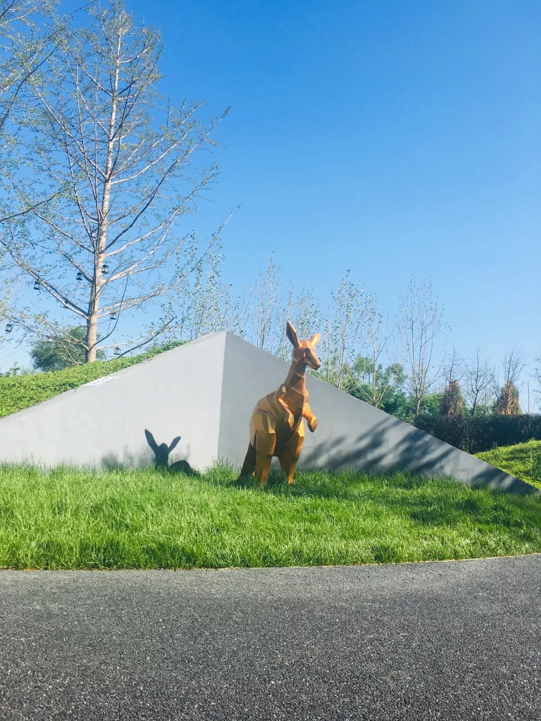 世园会澳大利亚园丨中国北京-81