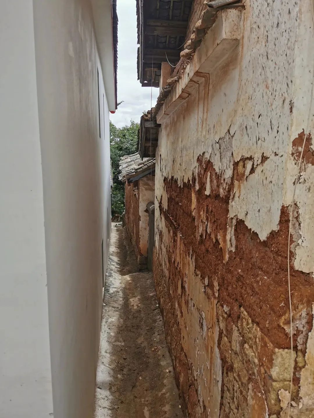 五姐妹同住“乘风破浪的家”，《梦想改造家》实现最美抱团养老-95