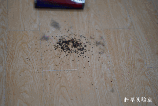 戴森 V11 智能吸尘器，家居垃圾分类好帮手-114