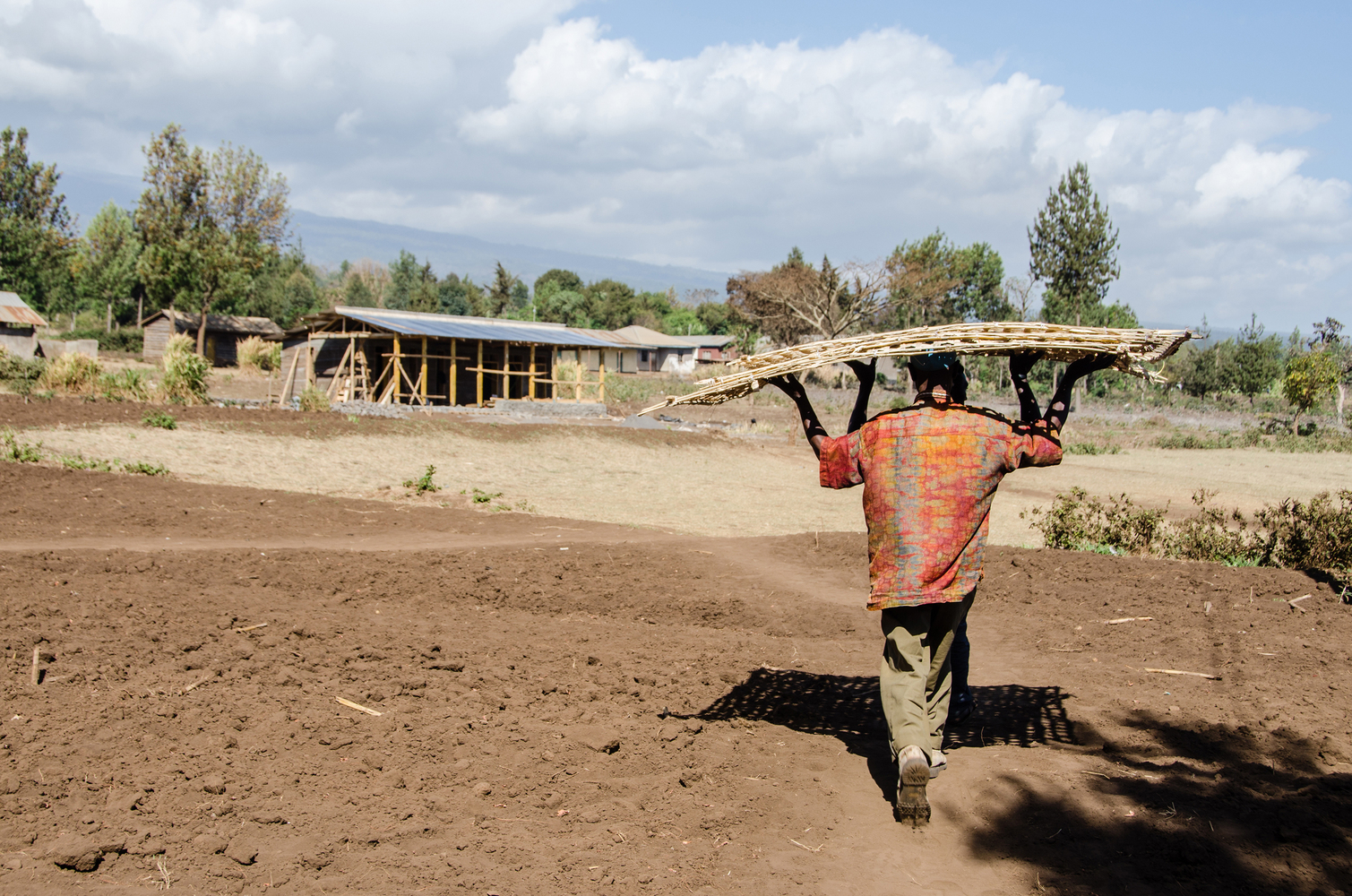阿马尼图书馆-44