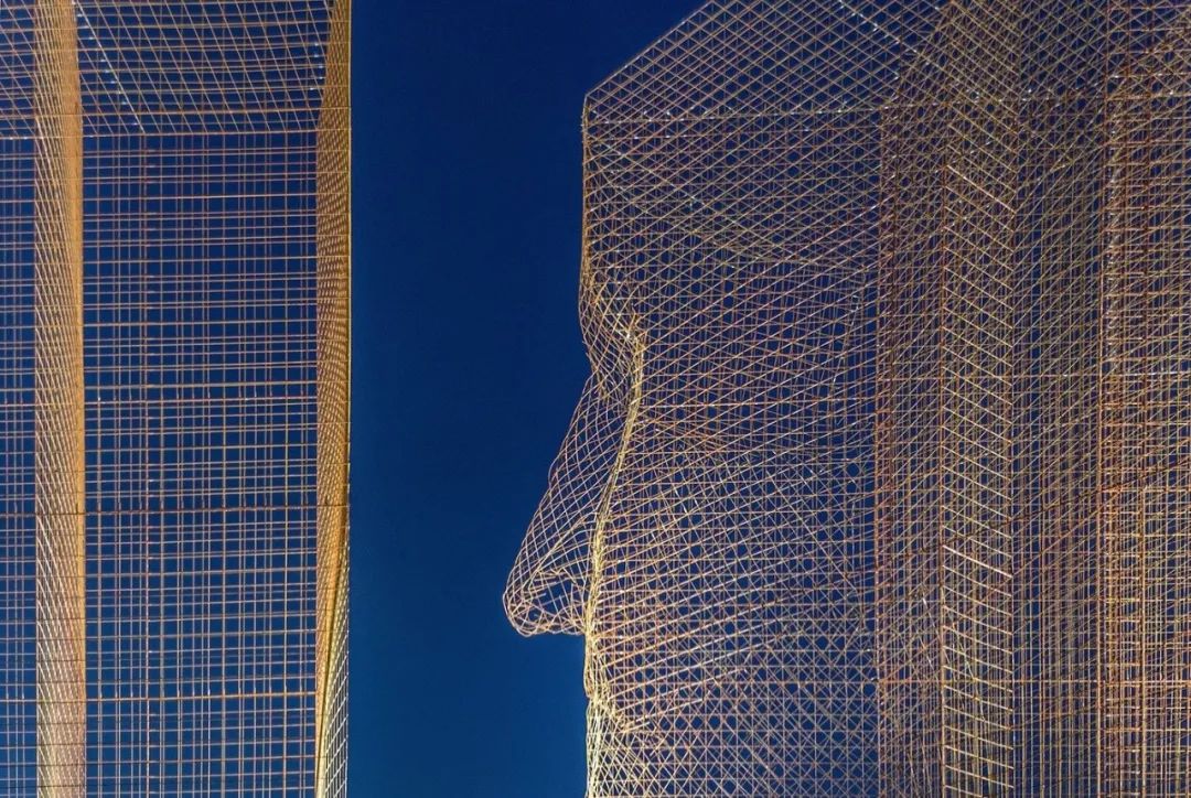 骶骨的;骶部的丨意大利丨Edoardo Tresoldi-133
