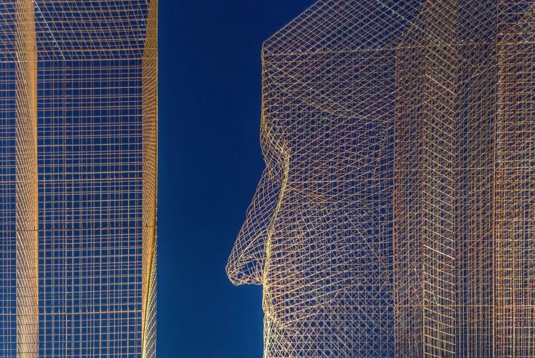 骶骨的；骶部的丨意大利丨Edoardo Tresoldi-133