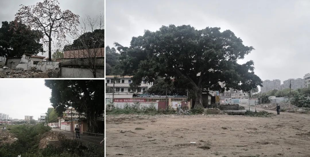 万科·金域国际 | 城市温度的共生融合-14