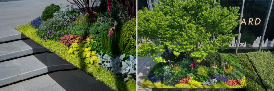 微木花境设计丨微木花境工作室-11