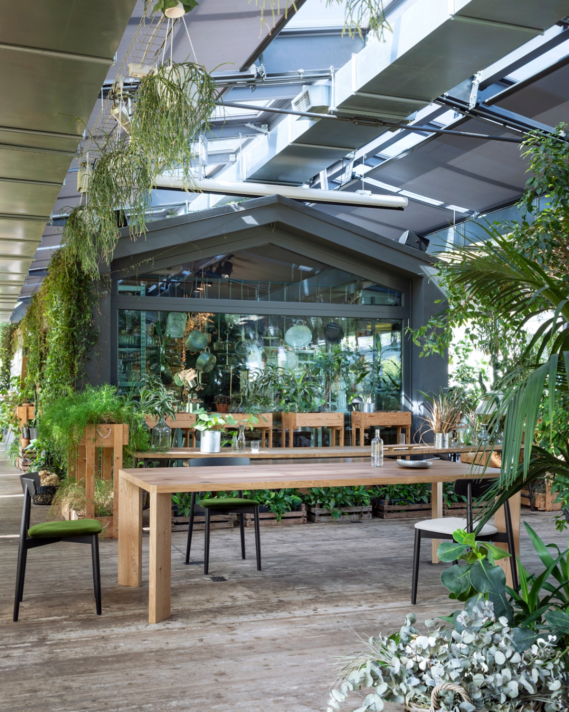  manero . miniforms-3