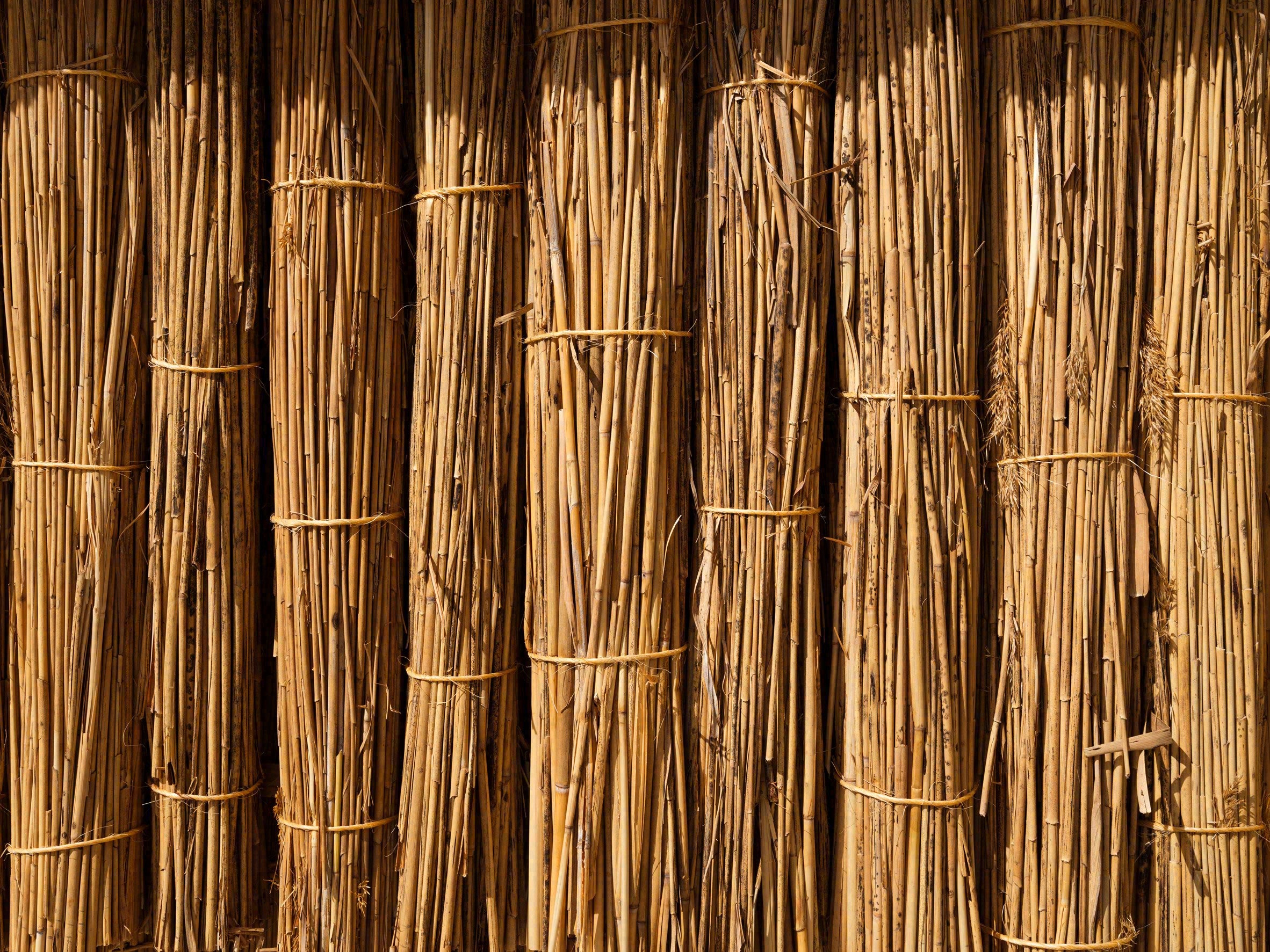 Rising from the Water pavilion draws on architecture by Yasmeen Lari-13