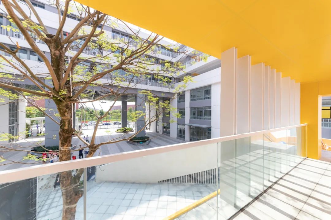 佛山梅沙双语学校 | “游园社区型”校园的多元复合设计-29