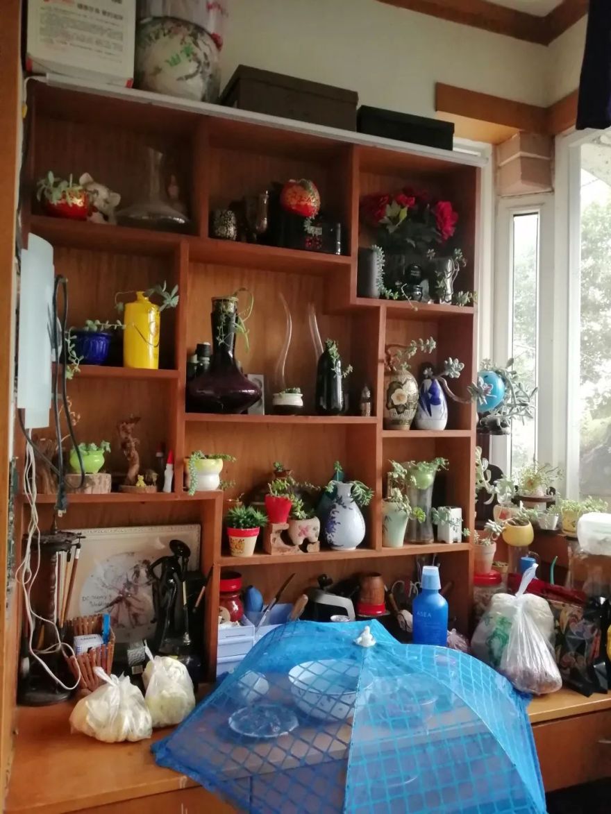 都江堰金婚之家丨中国成都丨清羽设计-62