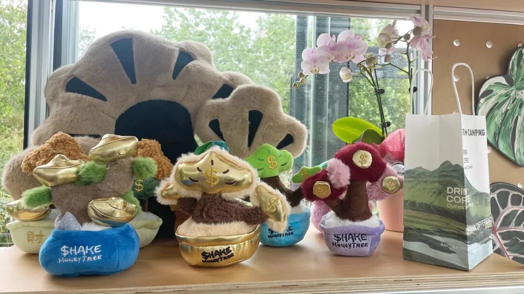 泉城焕新绿▏泉民园艺中心旗舰店-21