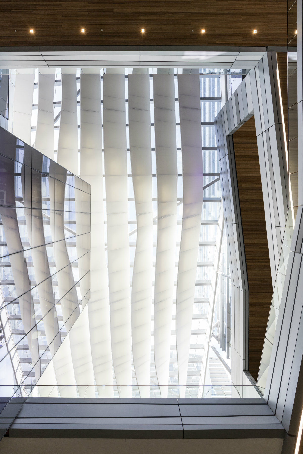 布里克尔市中心，在城市中心为野生动物打造一个家-57