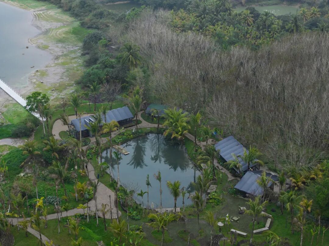 设计说|麓湾水集水鸟公园：「轻介入」的生态互动与环境对话-15