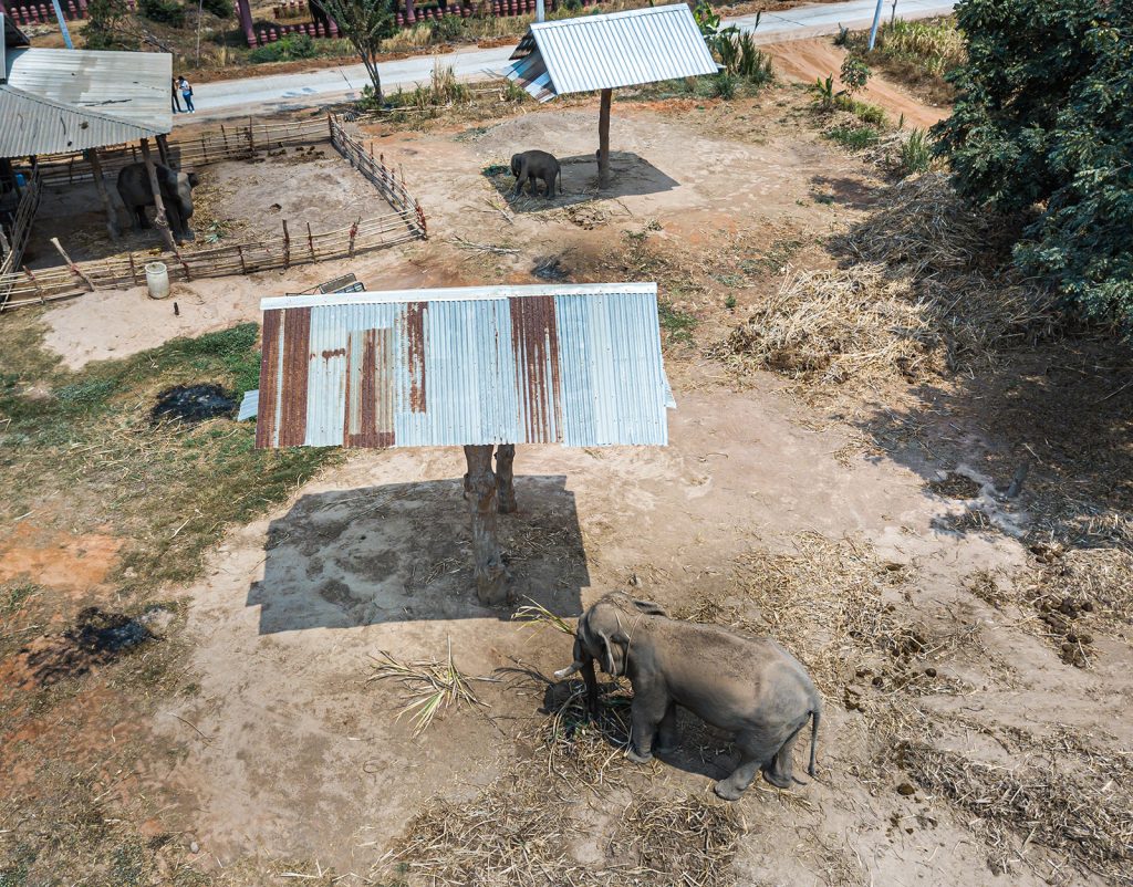 泰国克拉波大象中心（现称“大象世界”）丨泰国素林丨曼谷项目工作室-10