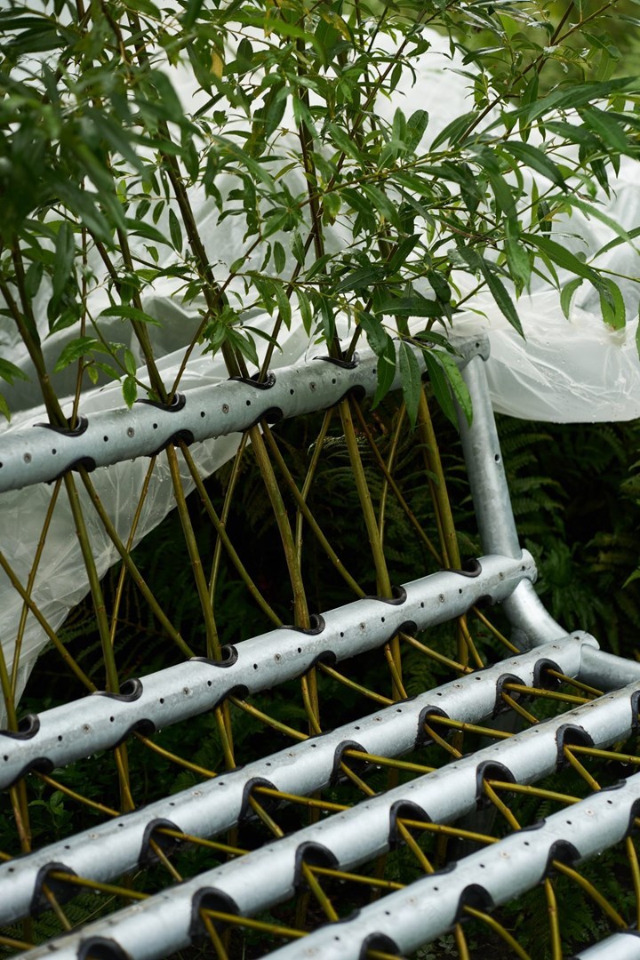 Tenir(将柳树培育成活的长椅)丨比利时丨Studio Part-5