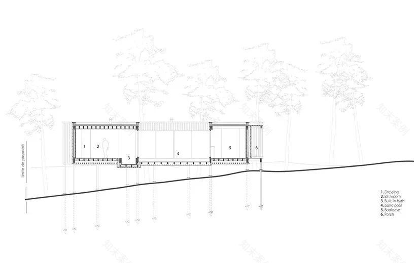 乡村松树树屋,与自然共生的设计奇迹-14