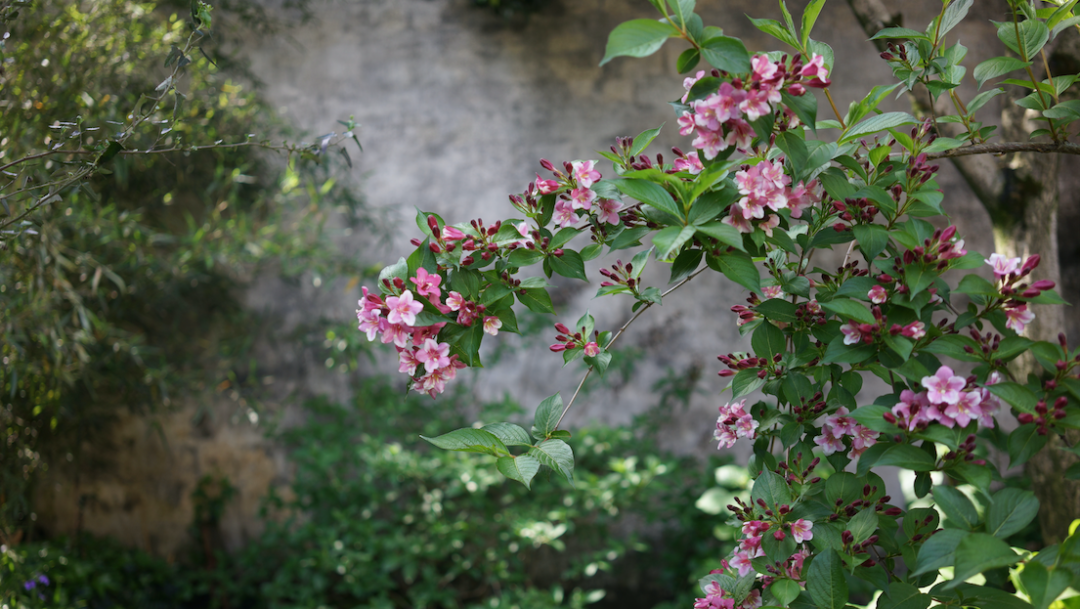 回声花园 · IT 夫妇的乡野生活丨中国黄山丨红子,小可夫妇-53