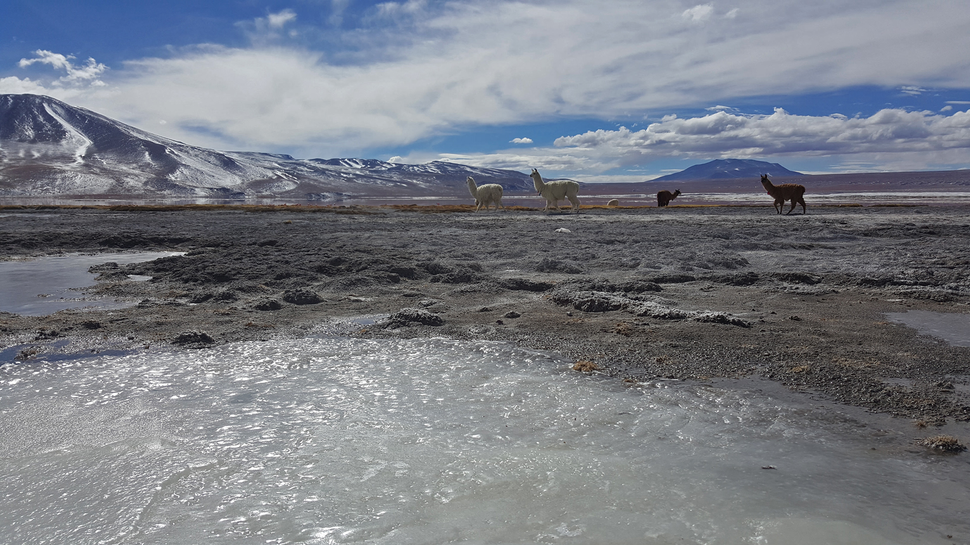 Freezing in Bolivia-2