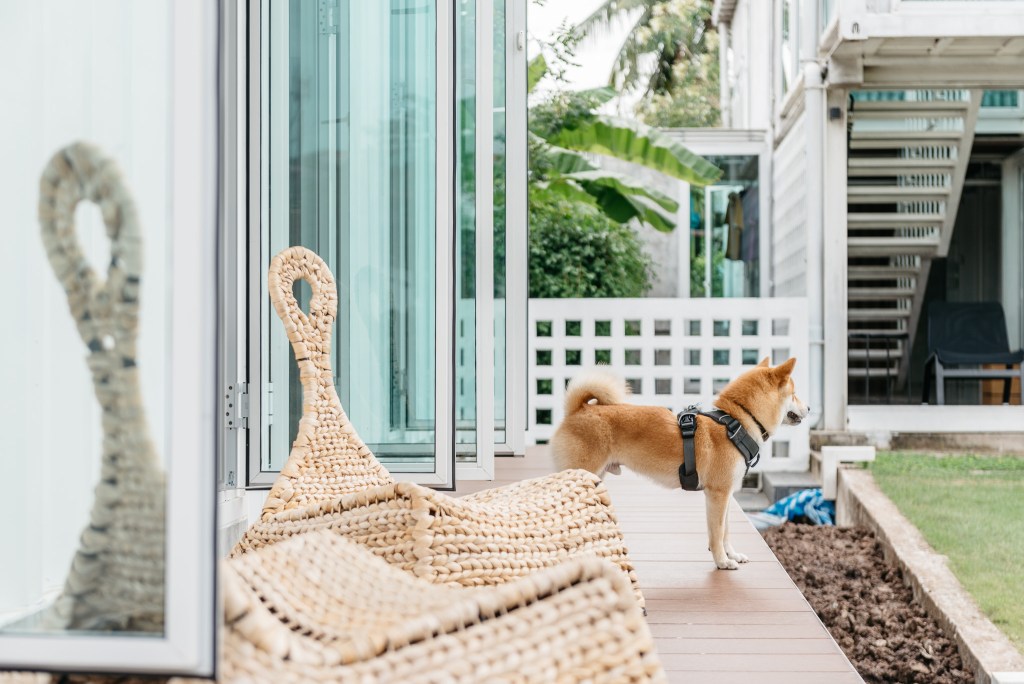 Mini Container House（迷你集装箱房屋）丨泰国孔敬-34