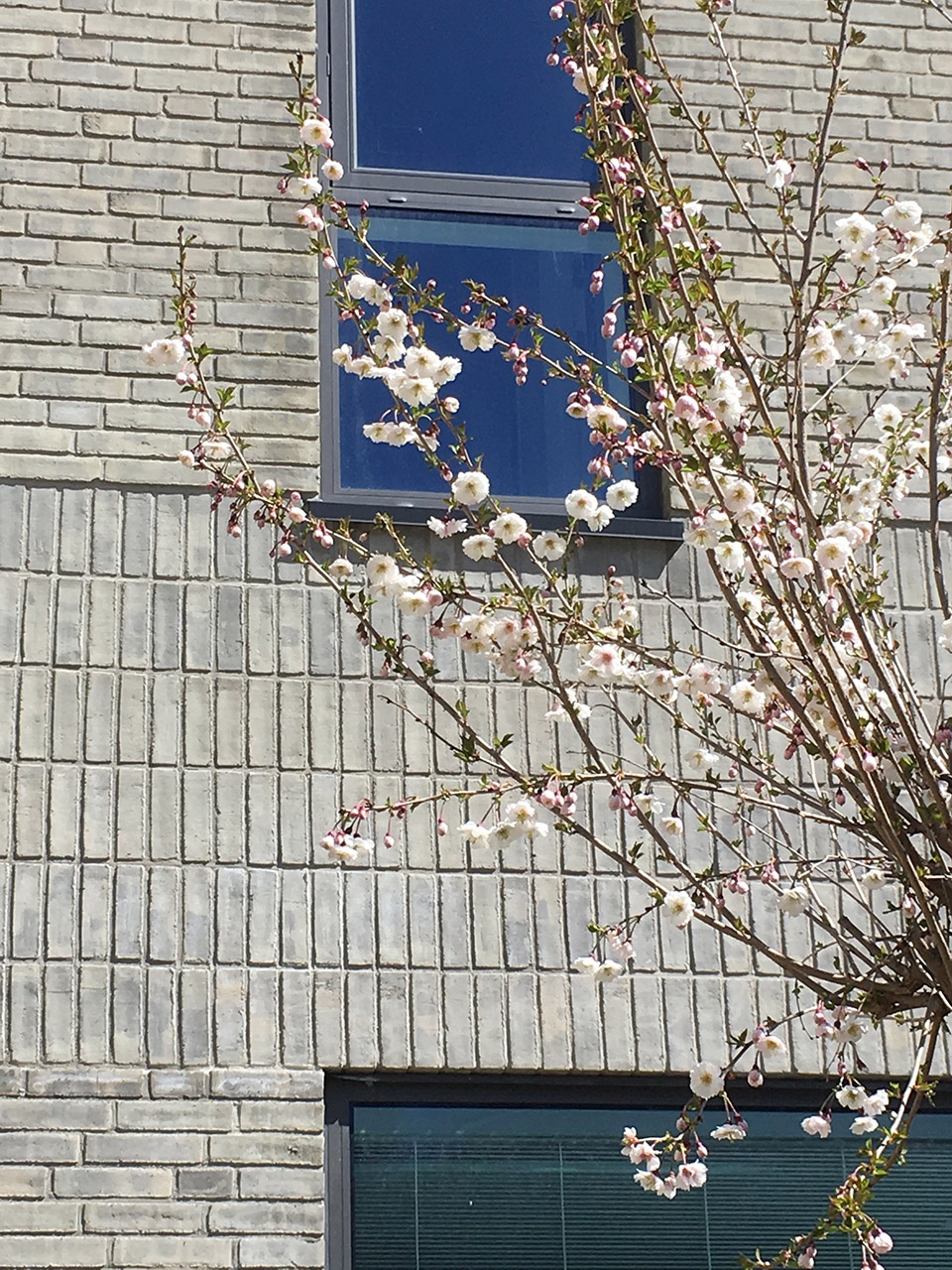 Holstebro健康中心-13