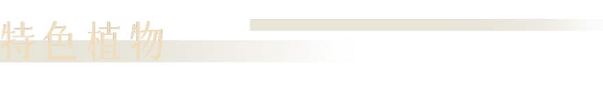 世园金茂府·观山:藏山入园融情山水|顺景园林-31