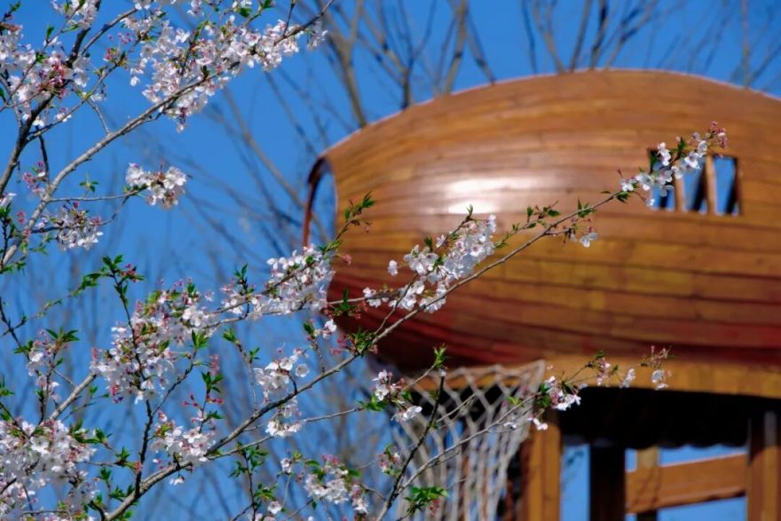 绿芯公园丨中国成都丨四川省建筑设计研究院有限公司SADI设计五院-14