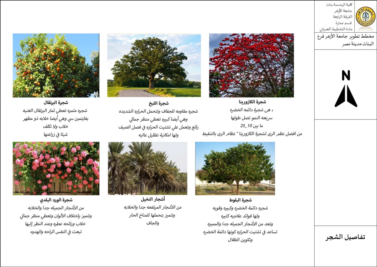 Develop the campus of Al-Azhar University-48