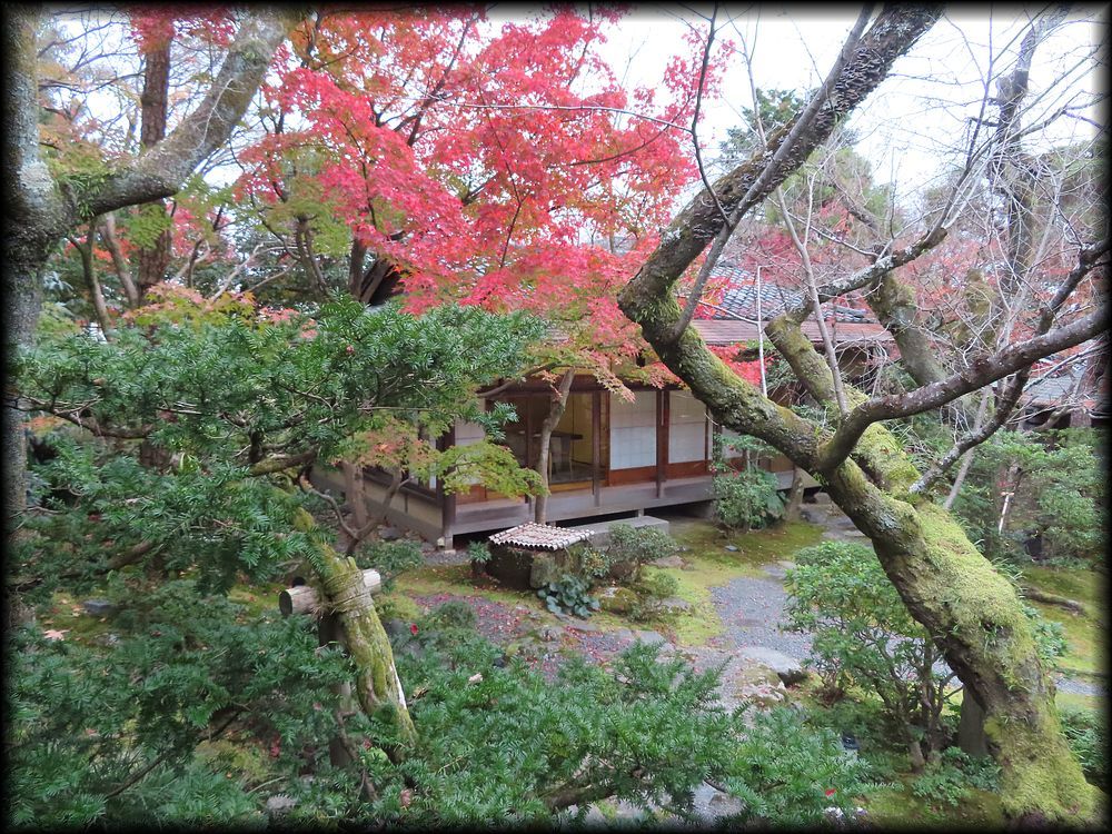 南禅寺参道菊水·红叶之庭园丨七代目小川治兵衛-38