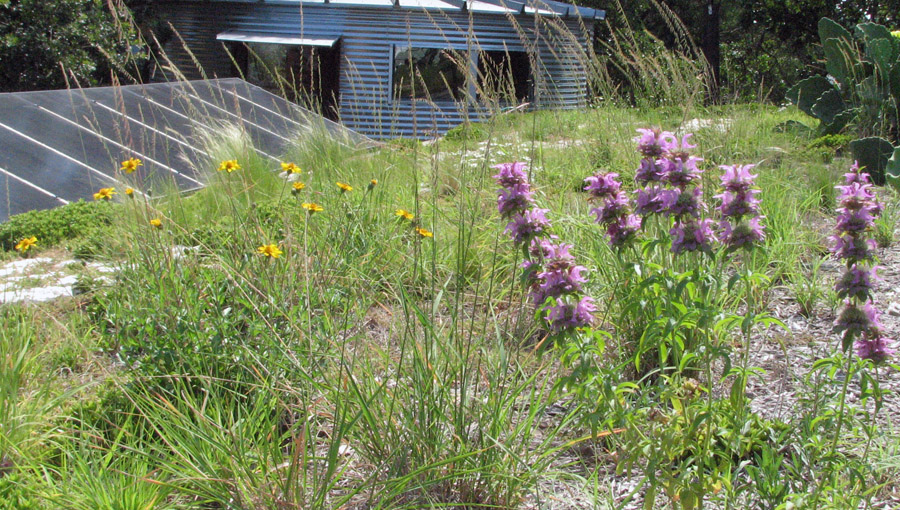 绿色环保的办公空间设计丨斯坦利工作室-12