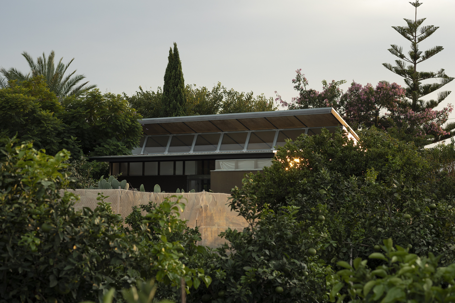 橙园中的食验室丨Carlos Salazar 工作室-53